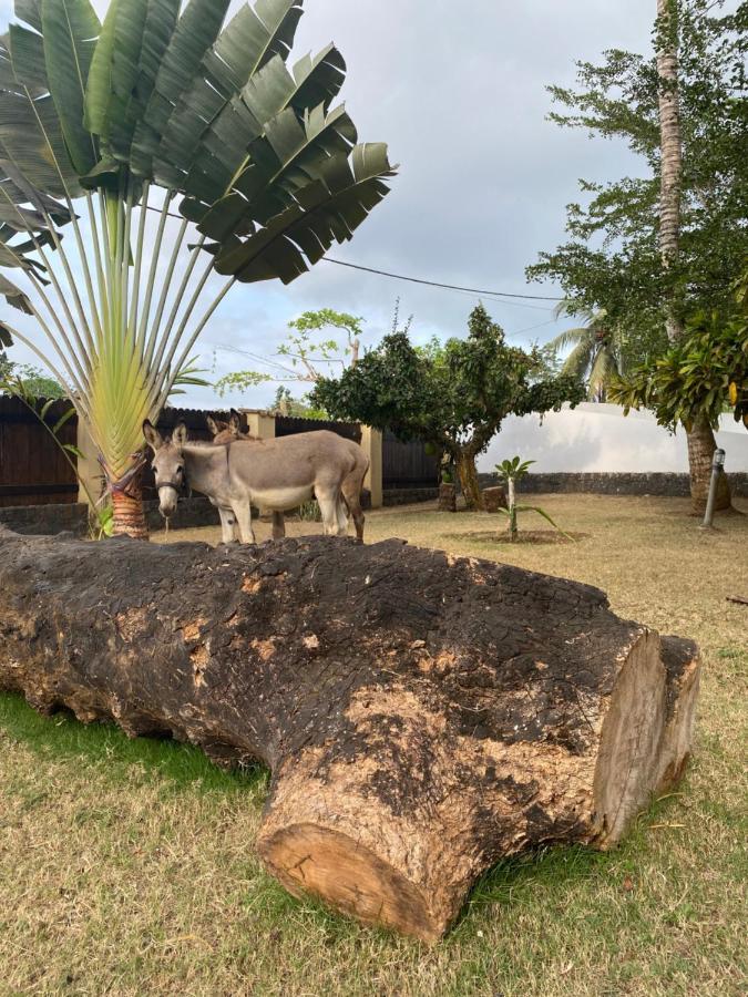 Willa Roca Vale Dos Prazeres Sao Tome Zewnętrze zdjęcie